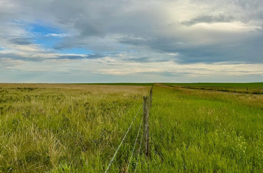 Rural Address, Eyebrow Rm No. 193, Saskatchewan S0H 0M0, ,Farm,For Sale,Brownlee 960.6 acres Hay and Pastureland,Rural Address,SK981073