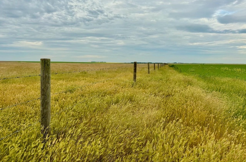 Rural Address, Eyebrow Rm No. 193, Saskatchewan S0H 0M0, ,Farm,For Sale,Brownlee 960.6 acres Hay and Pastureland,Rural Address,SK981073