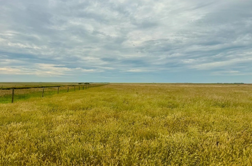 Rural Address, Eyebrow Rm No. 193, Saskatchewan S0H 0M0, ,Farm,For Sale,Brownlee 960.6 acres Hay and Pastureland,Rural Address,SK981073