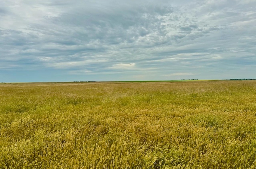 Rural Address, Eyebrow Rm No. 193, Saskatchewan S0H 0M0, ,Farm,For Sale,Brownlee 960.6 acres Hay and Pastureland,Rural Address,SK981073