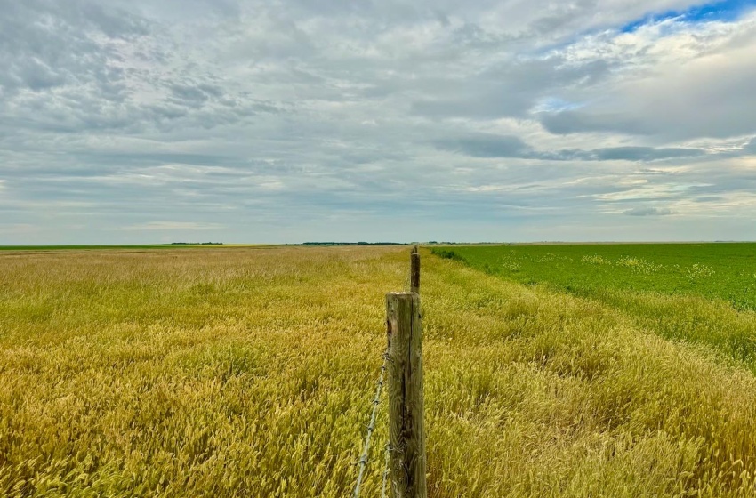 Rural Address, Eyebrow Rm No. 193, Saskatchewan S0H 0M0, ,Farm,For Sale,Brownlee 960.6 acres Hay and Pastureland,Rural Address,SK981073