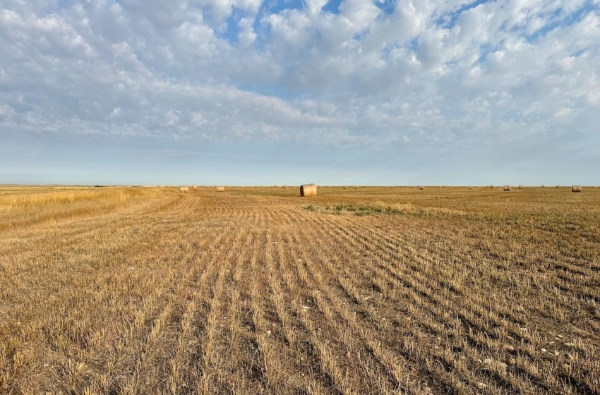 Rural Address, Eyebrow Rm No. 193, Saskatchewan S0H 0M0, ,Farm,For Sale,Brownlee 960.6 acres Hay and Pastureland,Rural Address,SK981073