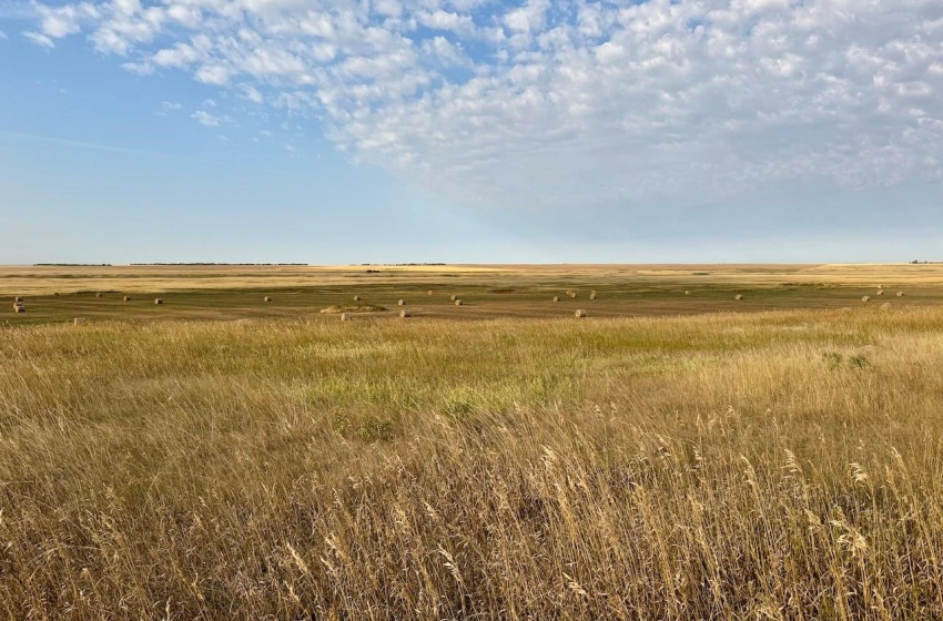 Rural Address, Eyebrow Rm No. 193, Saskatchewan S0H 0M0, ,Farm,For Sale,Brownlee 960.6 acres Hay and Pastureland,Rural Address,SK981073