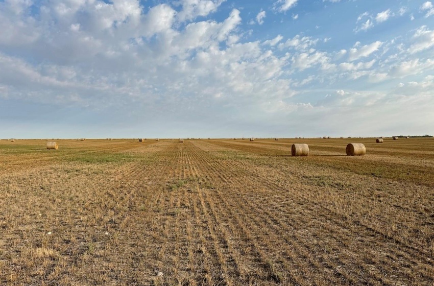 Rural Address, Eyebrow Rm No. 193, Saskatchewan S0H 0M0, ,Farm,For Sale,Brownlee 960.6 acres Hay and Pastureland,Rural Address,SK981073