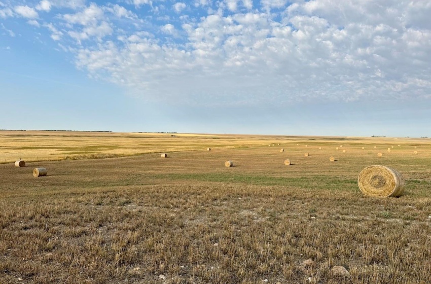 Rural Address, Eyebrow Rm No. 193, Saskatchewan S0H 0M0, ,Farm,For Sale,Brownlee 960.6 acres Hay and Pastureland,Rural Address,SK981073