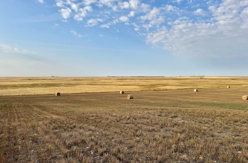 Rural Address, Eyebrow Rm No. 193, Saskatchewan S0H 0M0, ,Farm,For Sale,Brownlee 960.6 acres Hay and Pastureland,Rural Address,SK981073