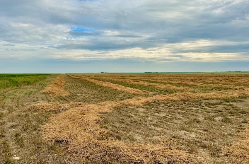 Rural Address, Eyebrow Rm No. 193, Saskatchewan S0H 0M0, ,Farm,For Sale,Brownlee 960.6 acres Hay and Pastureland,Rural Address,SK981073