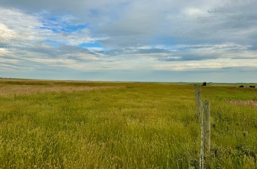 Rural Address, Eyebrow Rm No. 193, Saskatchewan S0H 0M0, ,Farm,For Sale,Brownlee 960.6 acres Hay and Pastureland,Rural Address,SK981073