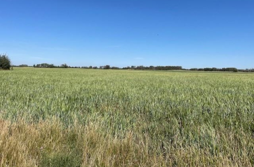 View of landscape with a rural view