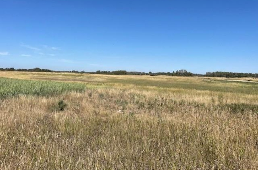 View of nature with a rural view