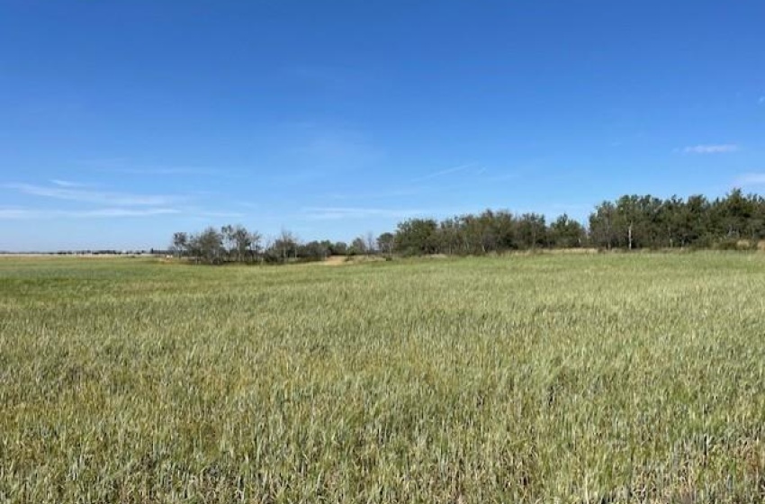 View of nature with a rural view