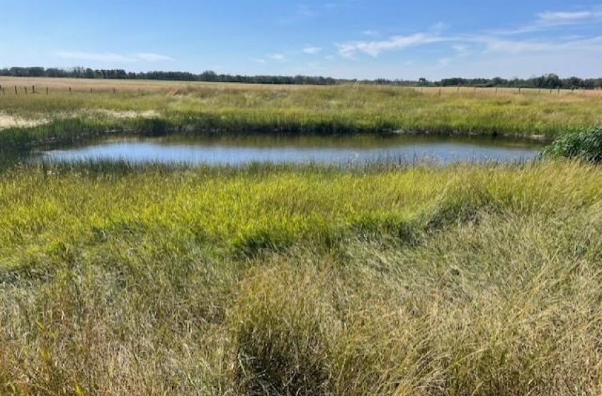 View of local wilderness featuring a rural view and a water view