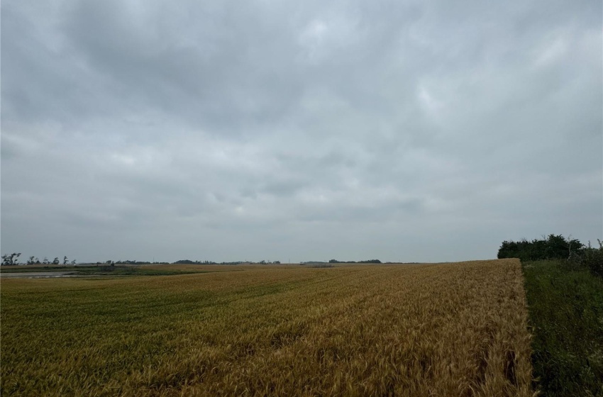 View of local wilderness with a rural view