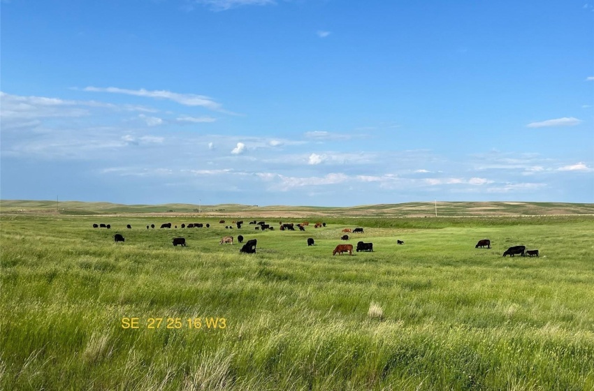 Rural Address, Monet Rm No. 257, Saskatchewan S0L 0Z0, ,Farm,For Sale,Elrose 1,544.8 acres Pastureland (Byers),Rural Address,SK981595