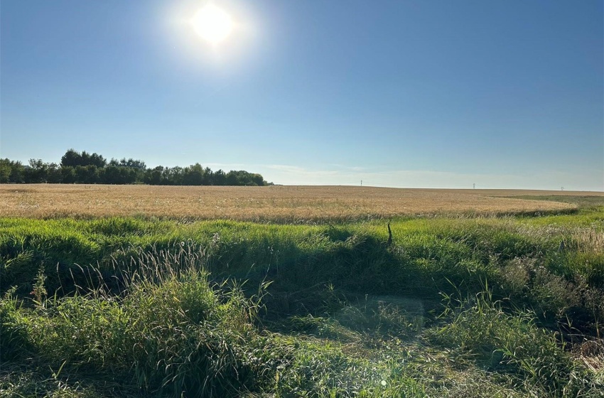 View of local wilderness featuring a rural view