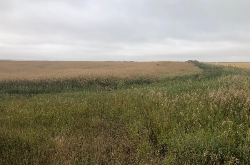 View of nature featuring a rural view