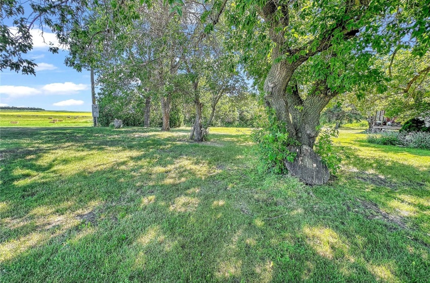 Rural Address, Langenburg Rm No. 181, Saskatchewan S0A 0M0, 3 Bedrooms Bedrooms, 11 Rooms Rooms,1 BathroomBathrooms,Acreage,For Sale,Lomenda Acreage,Rural Address,SK979633