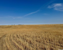 Rural Address, Lone Tree Rm No. 18, Saskatchewan S0N 0G0, ,Farm,For Sale,Bracken 159 acres Grain Farmland (Glenn),Rural Address,SK982698