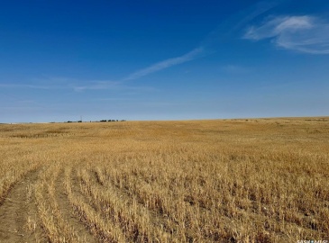 Rural Address, Lone Tree Rm No. 18, Saskatchewan S0N 0G0, ,Farm,For Sale,Bracken 159 acres Grain Farmland (Glenn),Rural Address,SK982698