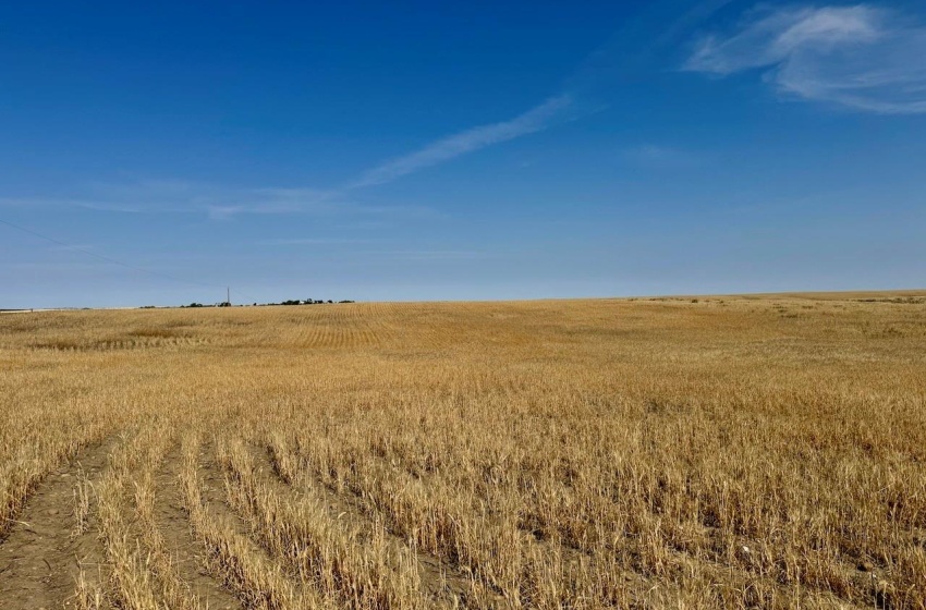 Rural Address, Lone Tree Rm No. 18, Saskatchewan S0N 0G0, ,Farm,For Sale,Bracken 159 acres Grain Farmland (Glenn),Rural Address,SK982698