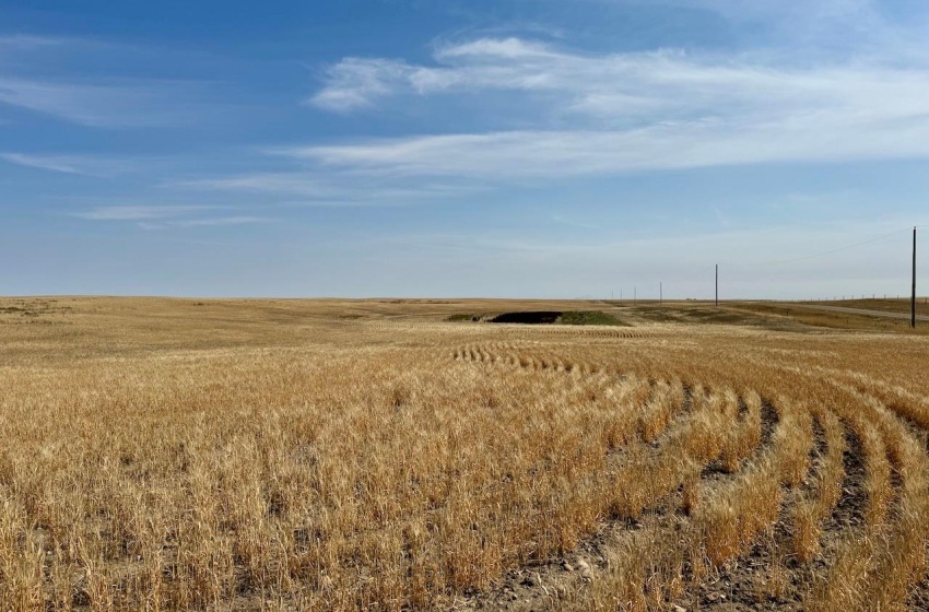 Rural Address, Lone Tree Rm No. 18, Saskatchewan S0N 0G0, ,Farm,For Sale,Bracken 159 acres Grain Farmland (Glenn),Rural Address,SK982698