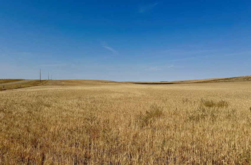 Rural Address, Lone Tree Rm No. 18, Saskatchewan S0N 0G0, ,Farm,For Sale,Bracken 159 acres Grain Farmland (Glenn),Rural Address,SK982698