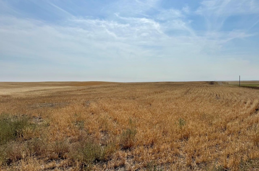 Rural Address, Lone Tree Rm No. 18, Saskatchewan S0N 0G0, ,Farm,For Sale,Bracken 159 acres Grain Farmland (Glenn),Rural Address,SK982698