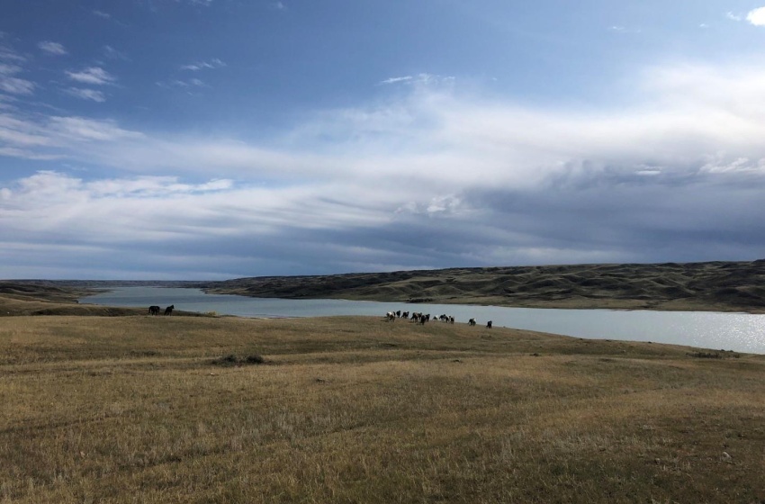 Rural Address, Lacadena Rm No. 228, Saskatchewan S0L 1T0, 4 Bedrooms Bedrooms, ,2 BathroomsBathrooms,Farm,For Sale,RM 228 Lacadena 3,885 acres Riverfront Ranch,Rural Address,SK982832