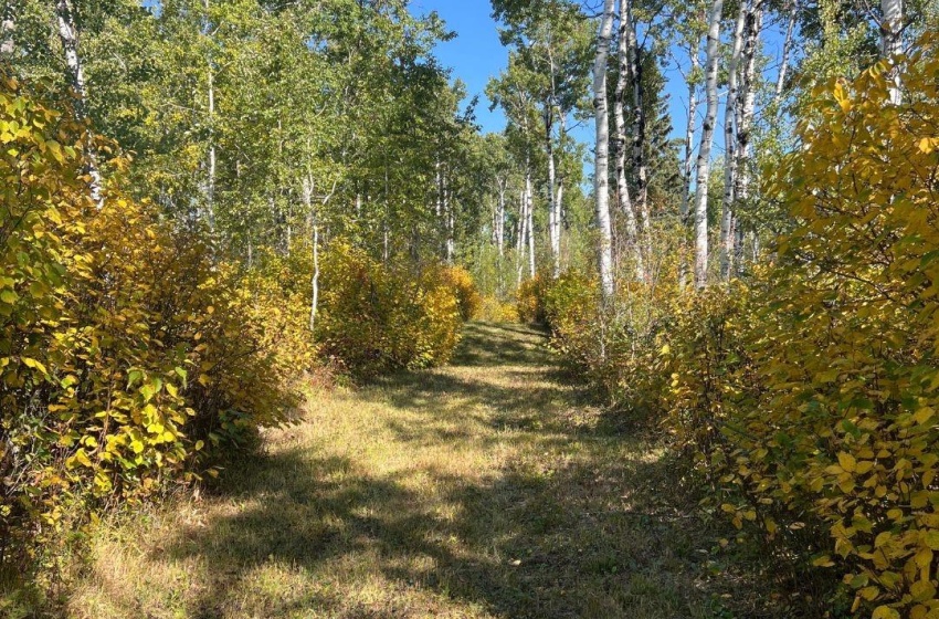 10 miles of trails