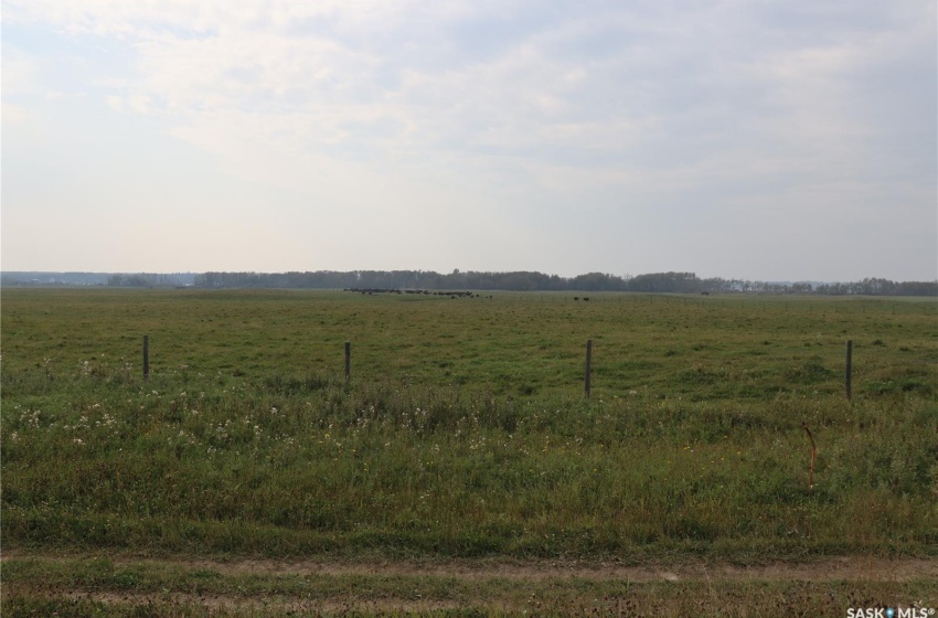 Rural Address, Canwood Rm No. 494, Saskatchewan S0J 0E0, 2 Bedrooms Bedrooms, ,2 BathroomsBathrooms,Farm,For Sale,Big River Ranch,Rural Address,SK983424