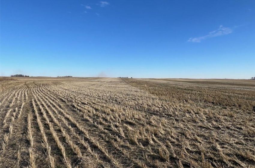 Rural Address, Aberdeen Rm No. 373, Saskatchewan S0K 0A0, ,Farm,For Sale,R.M. of Aberdeen No.373,Rural Address,SK983757