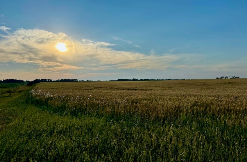 Rural Address, Stanley Rm No. 215, Saskatchewan S0A 0S0, ,Farm,For Sale,Stanley 347 Acres Grain Farmland,Rural Address,SK983770