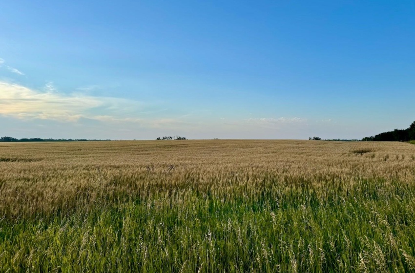 Rural Address, Stanley Rm No. 215, Saskatchewan S0A 0S0, ,Farm,For Sale,Stanley 347 Acres Grain Farmland,Rural Address,SK983770