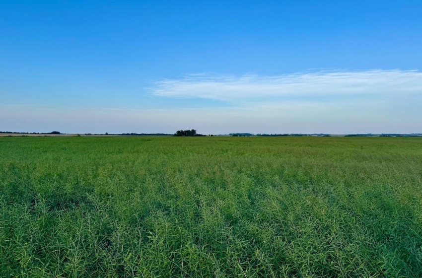 Rural Address, Stanley Rm No. 215, Saskatchewan S0A 0S0, ,Farm,For Sale,Stanley 347 Acres Grain Farmland,Rural Address,SK983770