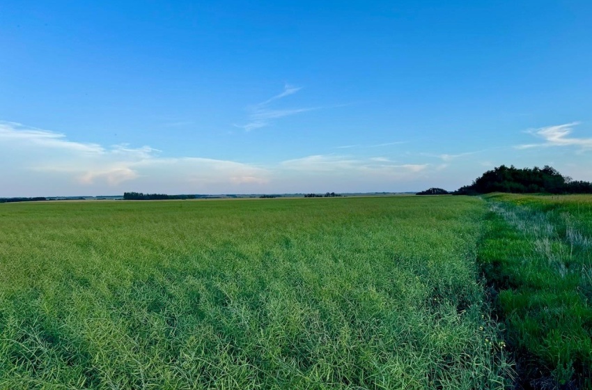 Rural Address, Stanley Rm No. 215, Saskatchewan S0A 0S0, ,Farm,For Sale,Stanley 347 Acres Grain Farmland,Rural Address,SK983770