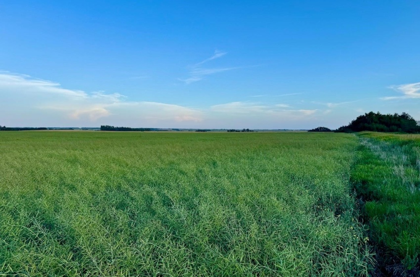 Rural Address, Stanley Rm No. 215, Saskatchewan S0A 0S0, ,Farm,For Sale,Stanley 347 Acres Grain Farmland,Rural Address,SK983770