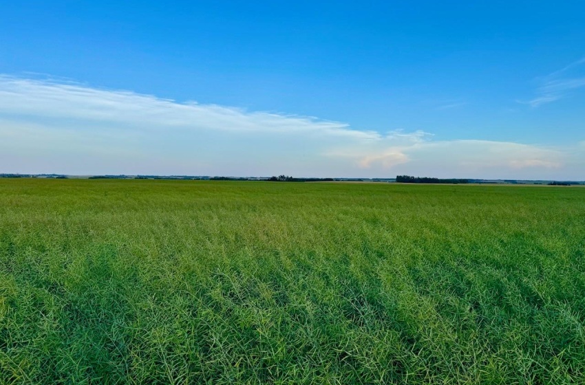 Rural Address, Stanley Rm No. 215, Saskatchewan S0A 0S0, ,Farm,For Sale,Stanley 347 Acres Grain Farmland,Rural Address,SK983770