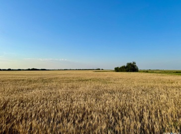 Rural Address, Stanley Rm No. 215, Saskatchewan S0A 0S0, ,Farm,For Sale,Stanley 347 Acres Grain Farmland,Rural Address,SK983770