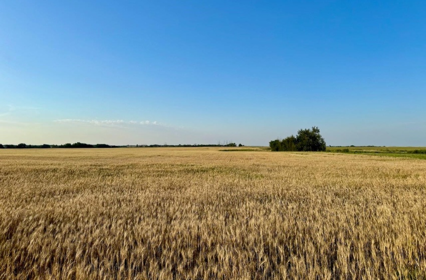 Rural Address, Stanley Rm No. 215, Saskatchewan S0A 0S0, ,Farm,For Sale,Stanley 347 Acres Grain Farmland,Rural Address,SK983770