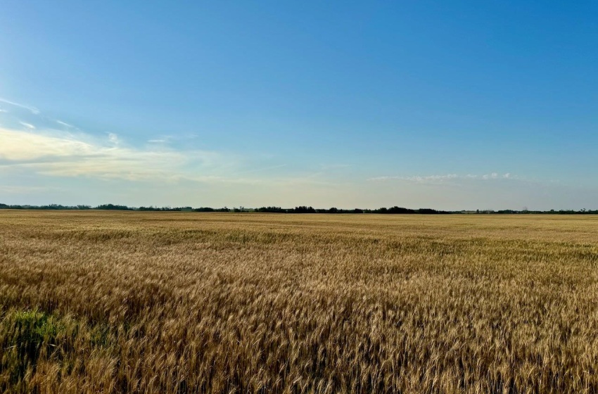 Rural Address, Stanley Rm No. 215, Saskatchewan S0A 0S0, ,Farm,For Sale,Stanley 347 Acres Grain Farmland,Rural Address,SK983770