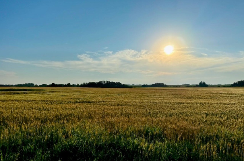 Rural Address, Stanley Rm No. 215, Saskatchewan S0A 0S0, ,Farm,For Sale,Stanley 347 Acres Grain Farmland,Rural Address,SK983770