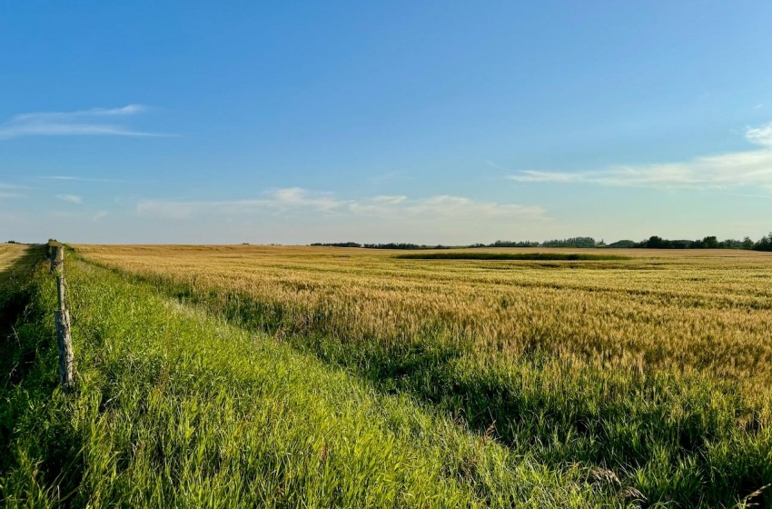 Rural Address, Stanley Rm No. 215, Saskatchewan S0A 0S0, ,Farm,For Sale,Stanley 347 Acres Grain Farmland,Rural Address,SK983770