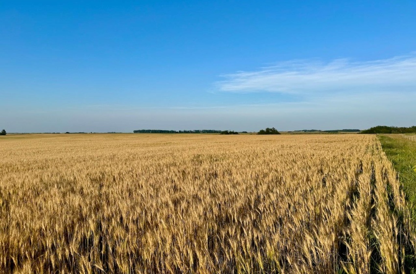 Rural Address, Stanley Rm No. 215, Saskatchewan S0A 0S0, ,Farm,For Sale,Stanley 347 Acres Grain Farmland,Rural Address,SK983770