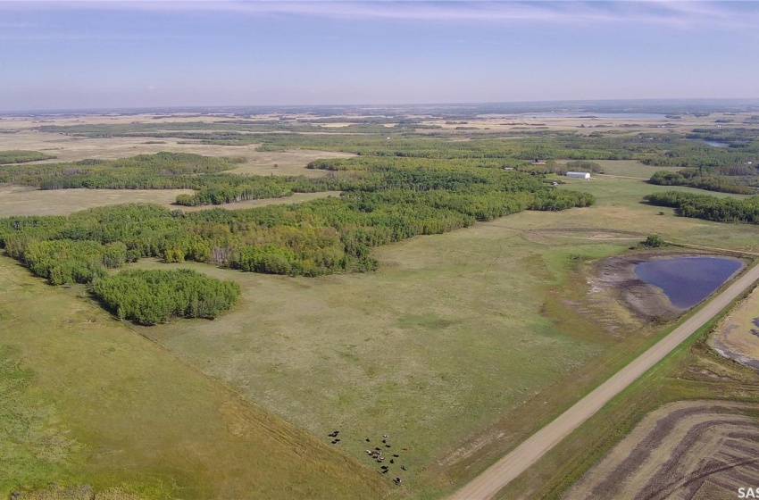 Rural Address, Turtle River Rm No. 469, Saskatchewan S0M 0V0, ,Farm,For Sale,Edam Quarter Acreage,Rural Address,SK983771