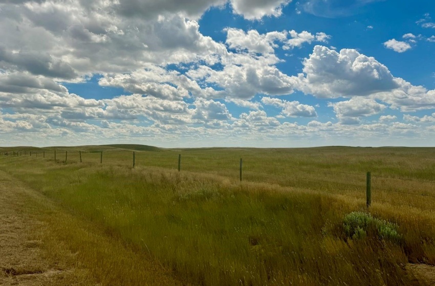 Rural Address, Gull Lake Rm No. 139, Saskatchewan S0N 0B2, ,Farm,For Sale,Gull Lake 1,432 acres Farmland,Rural Address,SK983787