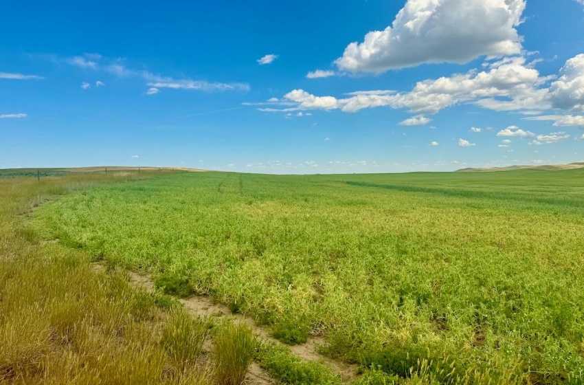 Rural Address, Gull Lake Rm No. 139, Saskatchewan S0N 0B2, ,Farm,For Sale,Gull Lake 1,432 acres Farmland,Rural Address,SK983787