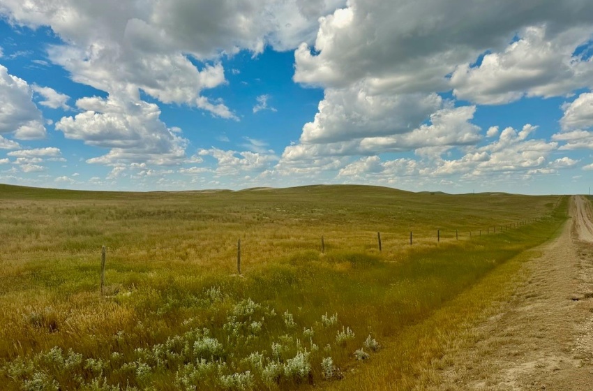 Rural Address, Gull Lake Rm No. 139, Saskatchewan S0N 0B2, ,Farm,For Sale,Gull Lake 1,432 acres Farmland,Rural Address,SK983787