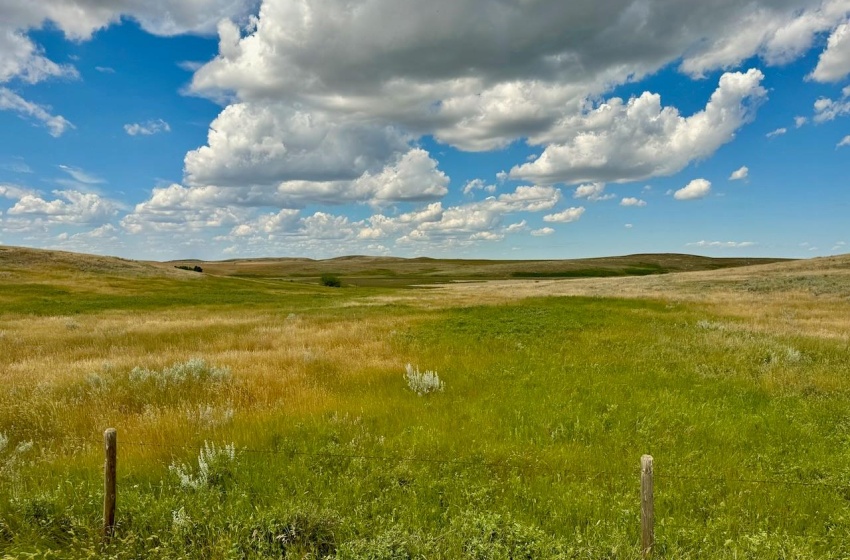 Rural Address, Gull Lake Rm No. 139, Saskatchewan S0N 0B2, ,Farm,For Sale,Gull Lake 1,432 acres Farmland,Rural Address,SK983787