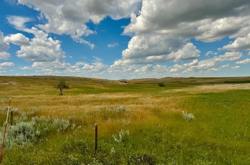 Rural Address, Gull Lake Rm No. 139, Saskatchewan S0N 0B2, ,Farm,For Sale,Gull Lake 1,432 acres Farmland,Rural Address,SK983787