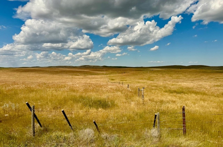 Rural Address, Gull Lake Rm No. 139, Saskatchewan S0N 0B2, ,Farm,For Sale,Gull Lake 1,432 acres Farmland,Rural Address,SK983787